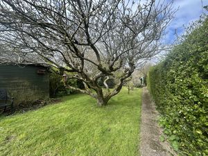 Photo 11- click for photo gallery